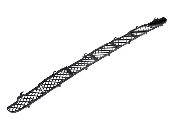 Bumper Grille - Front (Black)